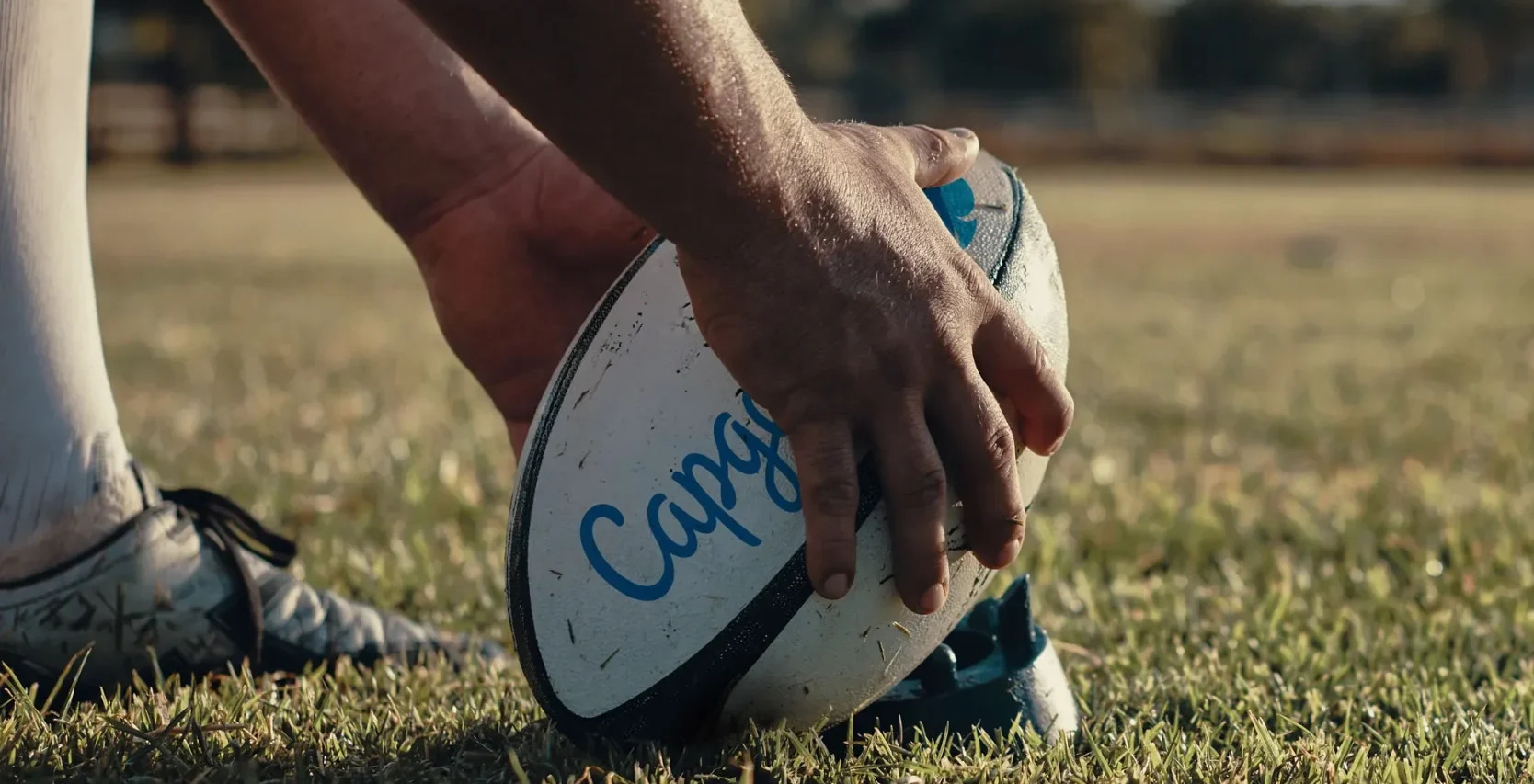 Pronostici Rugby
